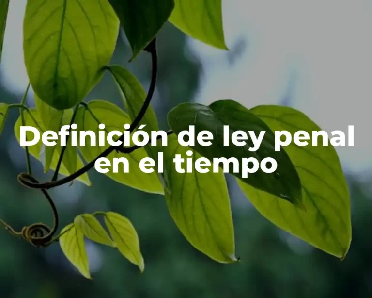 Definición de ley penal en el tiempo