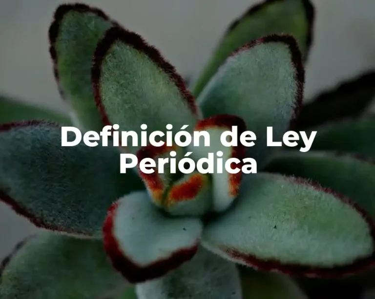 Definición de Ley Periódica