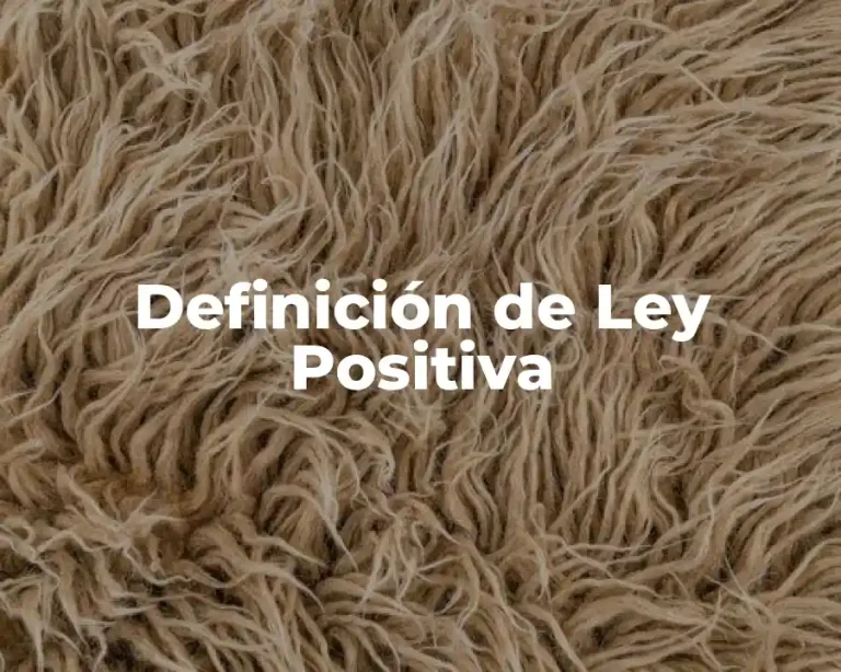 Definición de Ley Positiva
