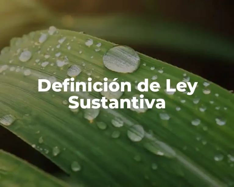 Definición de Ley Sustantiva
