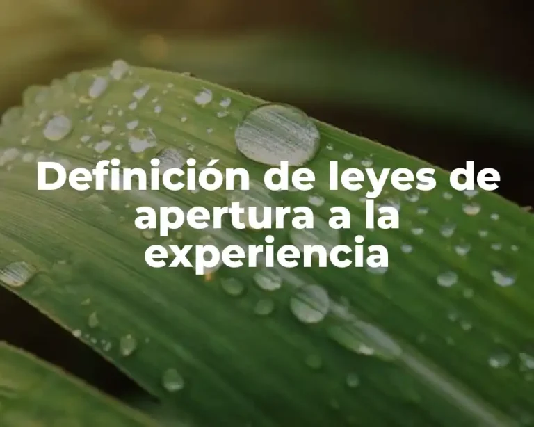 Definición de leyes de apertura a la experiencia