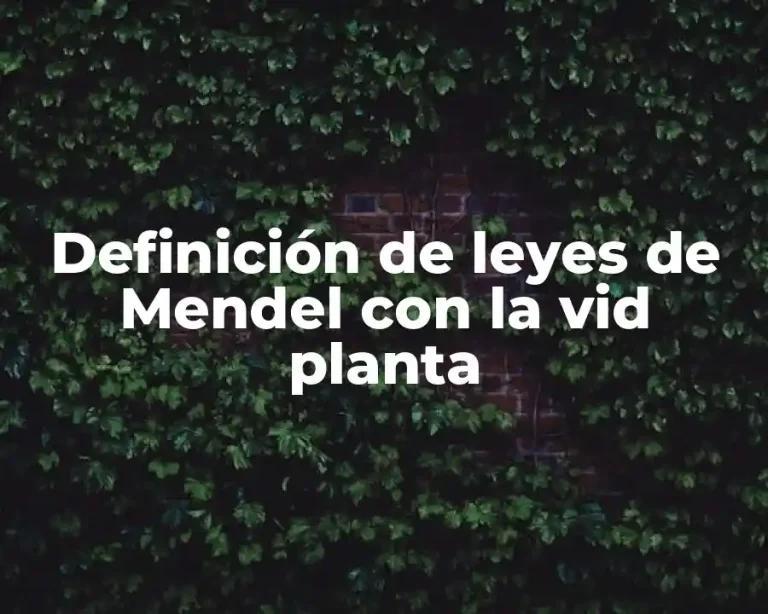 Definición de leyes de Mendel con la vid planta