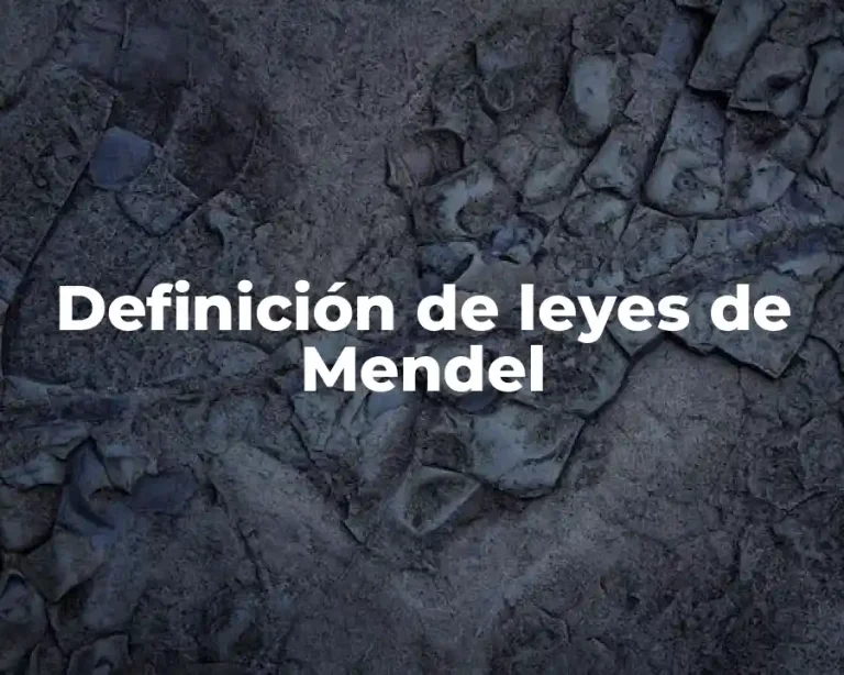 Definición de leyes de Mendel