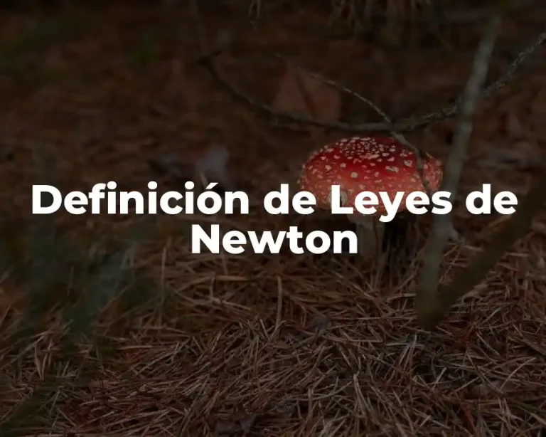 Definición de Leyes de Newton