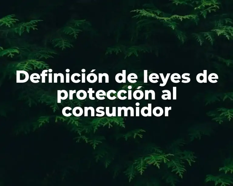Definición de leyes de protección al consumidor