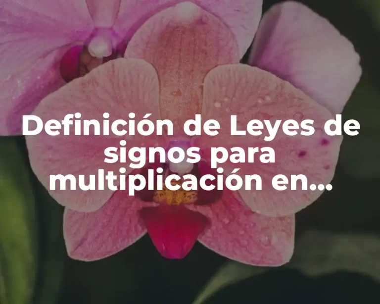 Definición de Leyes de signos para multiplicación en matemáticas