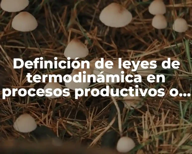 Definición de leyes de termodinámica en procesos productivos o industriales