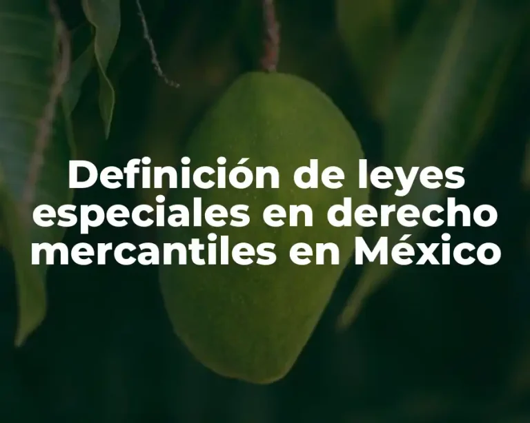 Definición de leyes especiales en derecho mercantiles en México