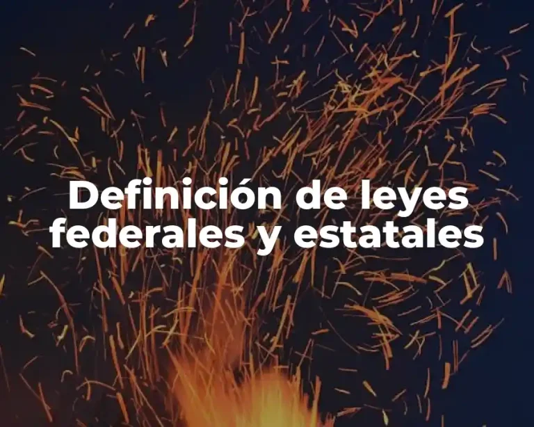 Definición de leyes federales y estatales