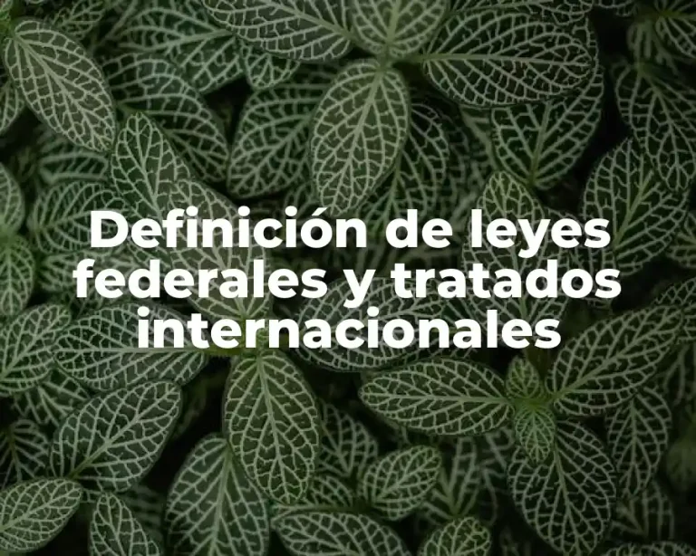 Definición de leyes federales y tratados internacionales