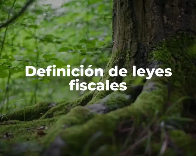 Definición de leyes fiscales