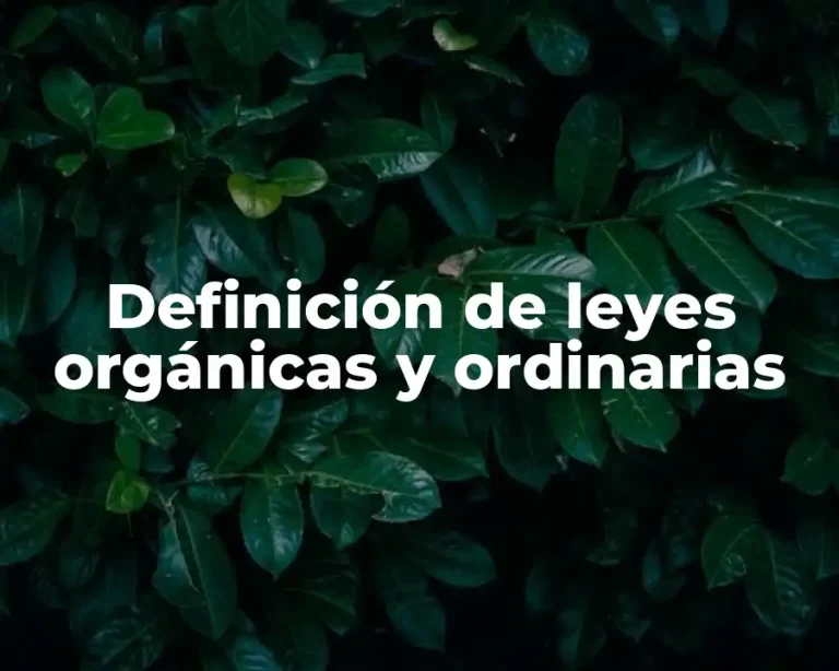 Definición de leyes orgánicas y ordinarias