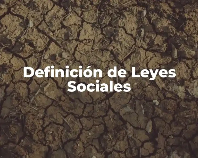 Definición de Leyes Sociales