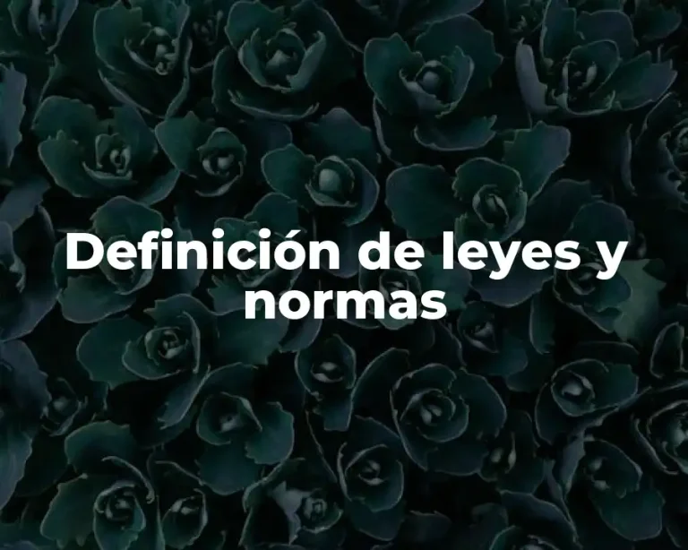 Definición de leyes y normas