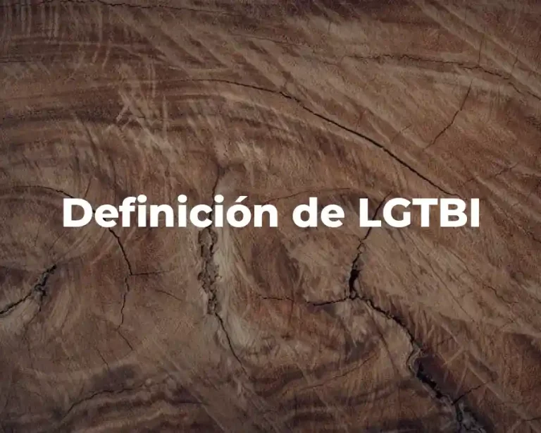 Definición de LGTBI