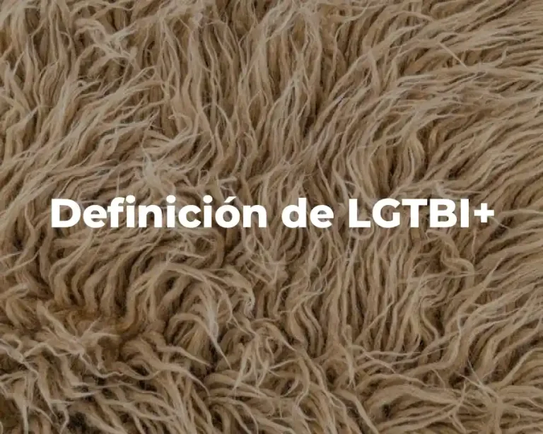Definición de LGTBI+