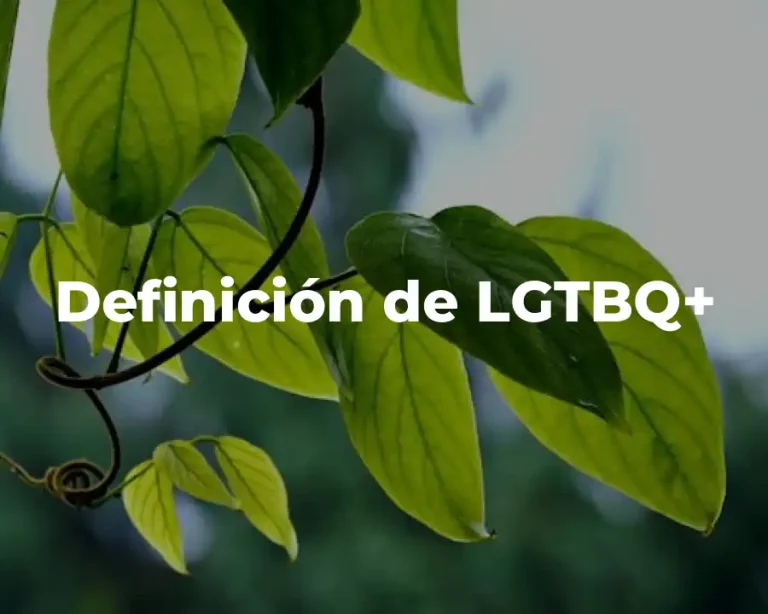 Definición de LGTBQ+