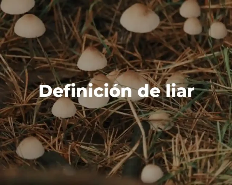 Definición de liar