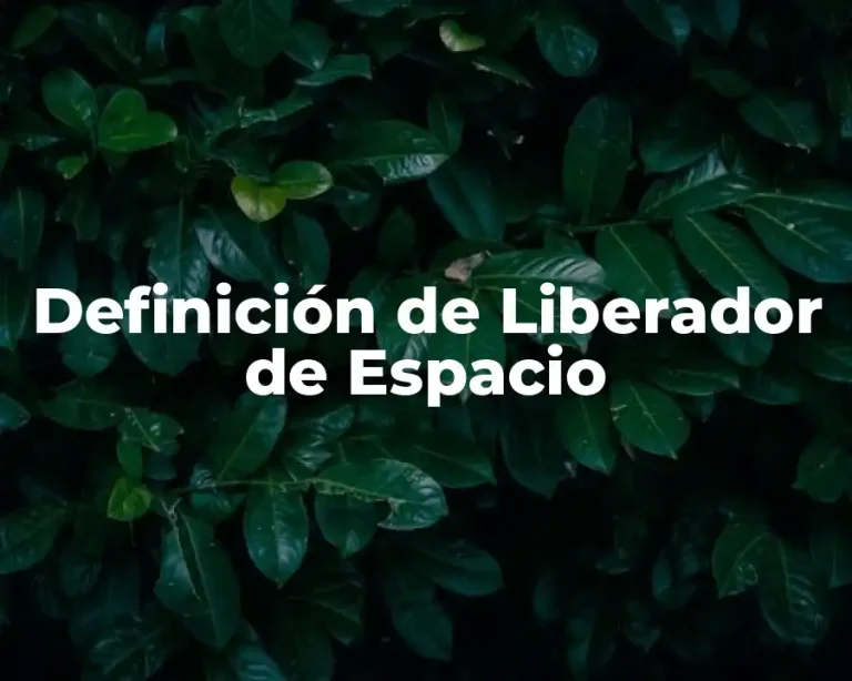 Definición de Liberador de Espacio