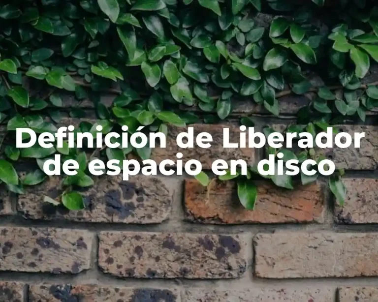 Definición de Liberador de espacio en disco