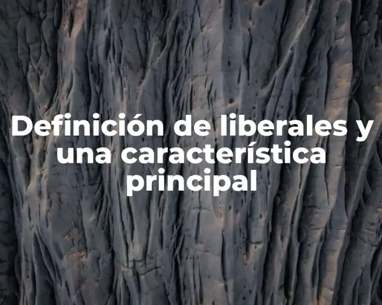 Definición de liberales y una característica principal