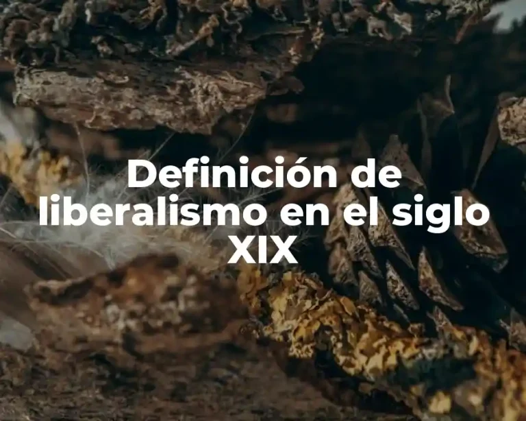 Definición de liberalismo en el siglo XIX
