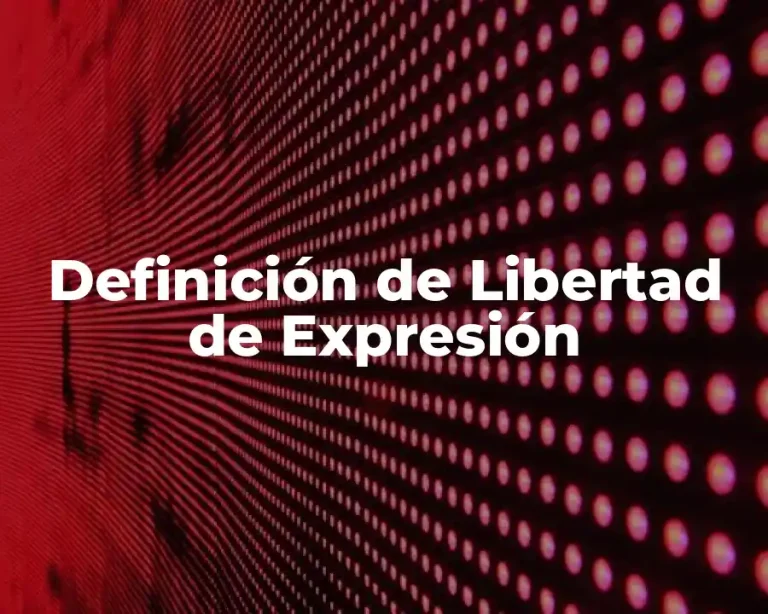 Definición de Libertad de Expresión