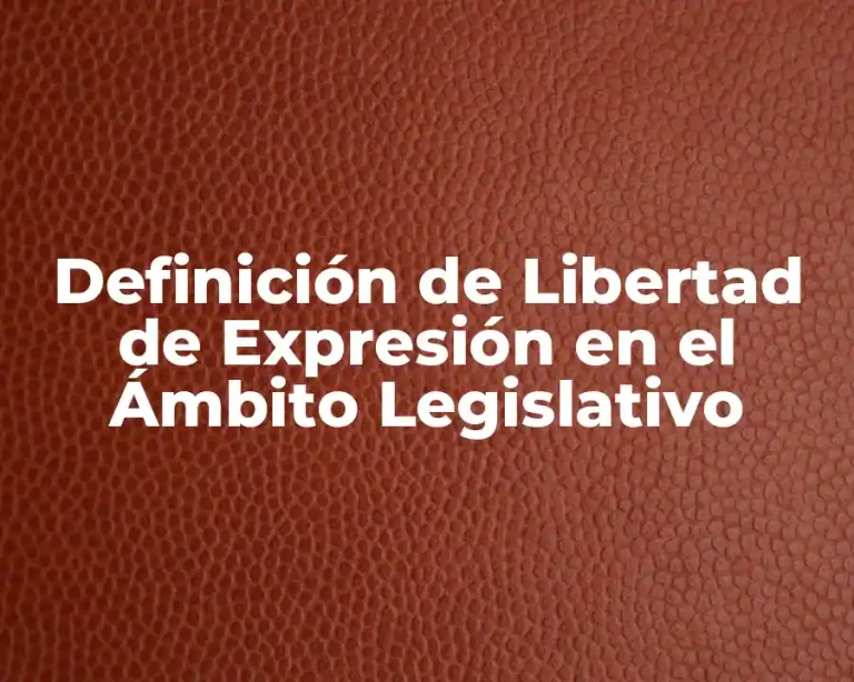 Definición de Libertad de Expresión en el Ámbito Legislativo