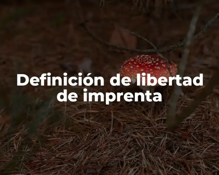 Definición de libertad de imprenta