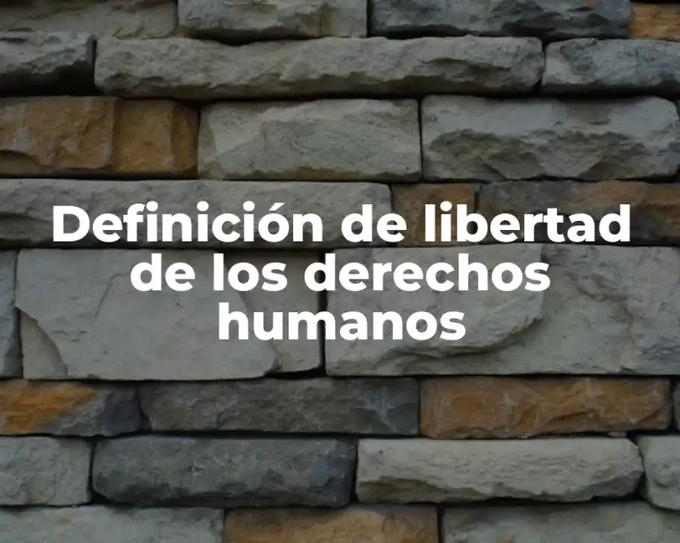 Definición de libertad de los derechos humanos