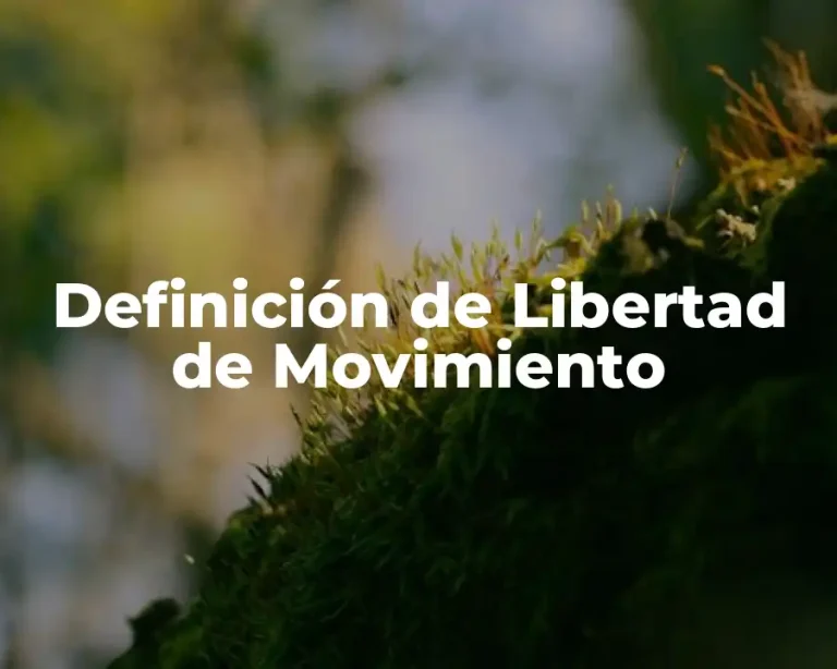 Definición de Libertad de Movimiento