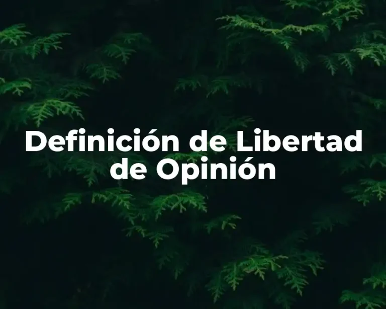 Definición de Libertad de Opinión