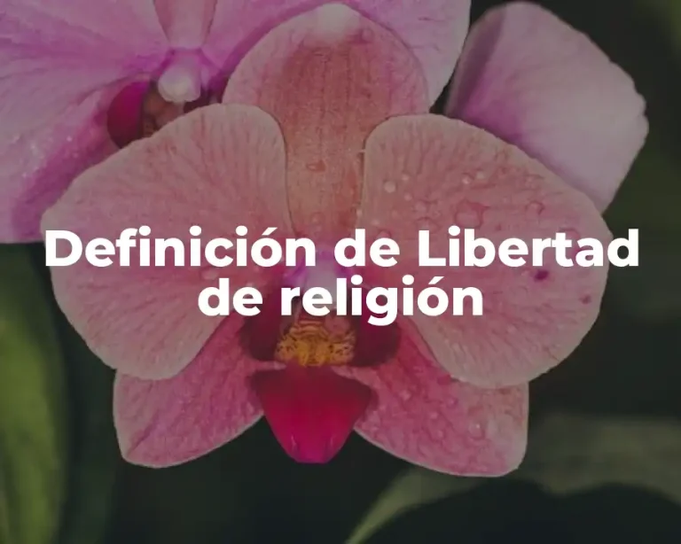 Definición de Libertad de religión