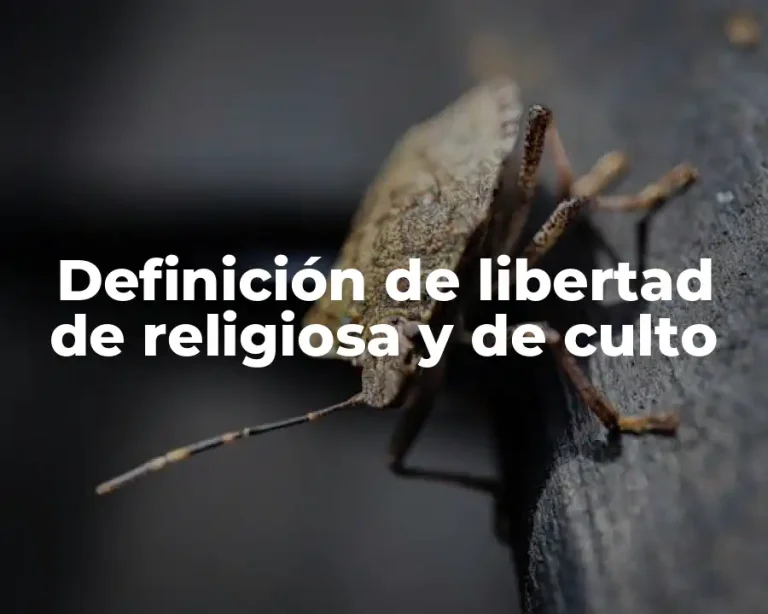 Definición de libertad de religiosa y de culto