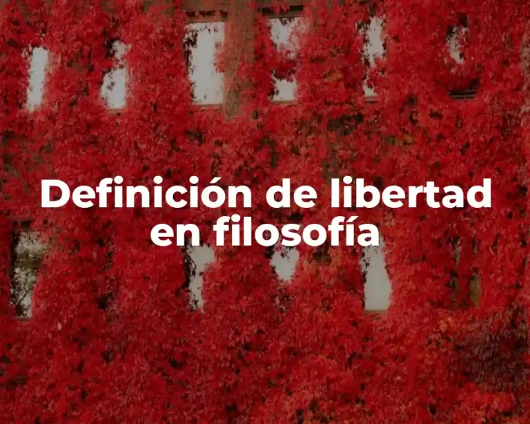 Definición de libertad en filosofía