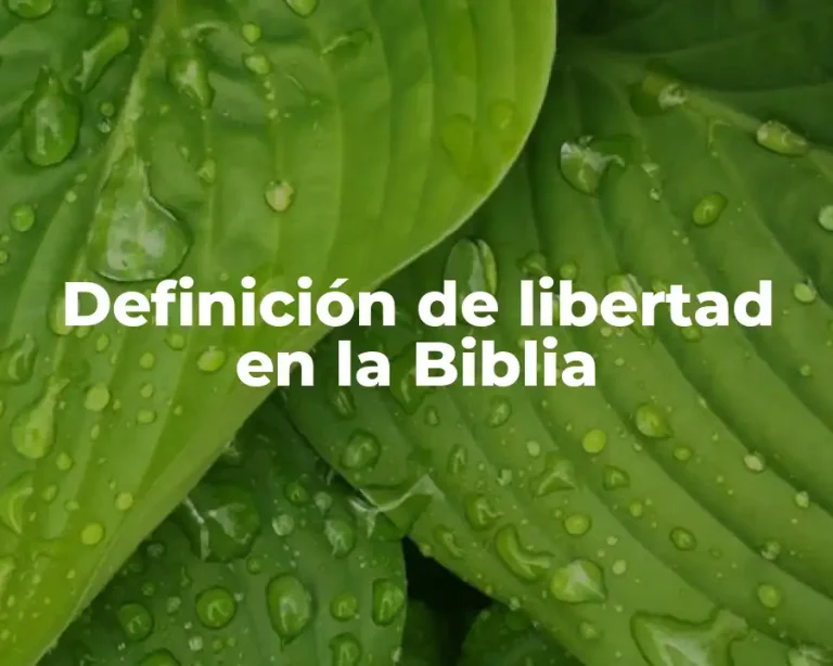 Definición de libertad en la Biblia