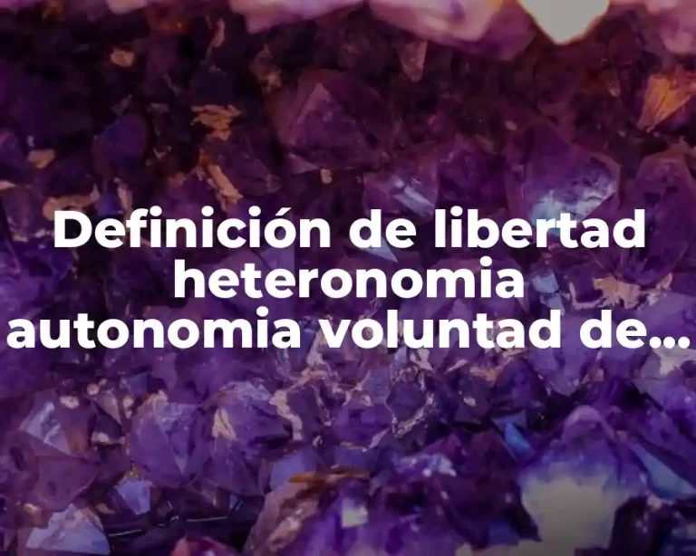 Definición de libertad heteronomia autonomia voluntad de vivir