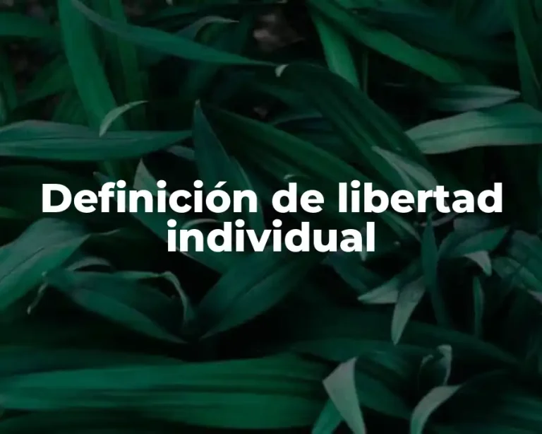 Definición de libertad individual
