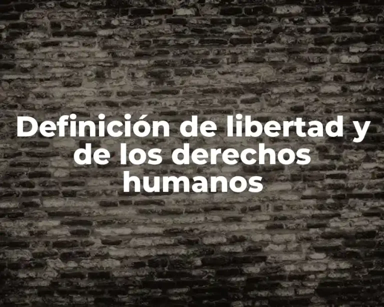 Definición de libertad y de los derechos humanos