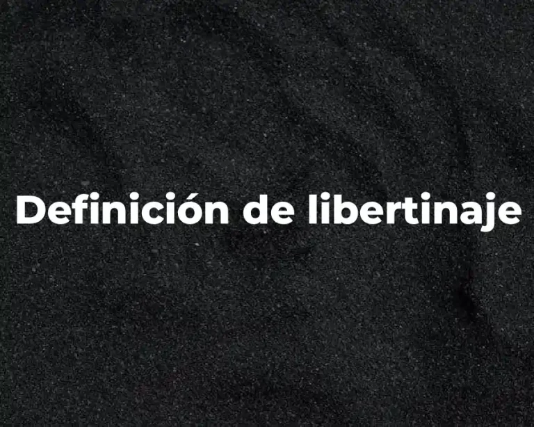 Definición de libertinaje