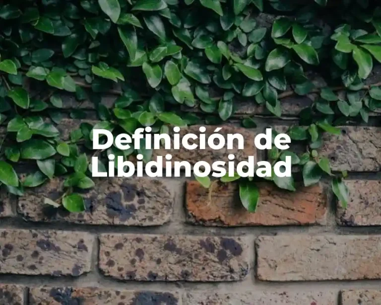 Definición de Libidinosidad
