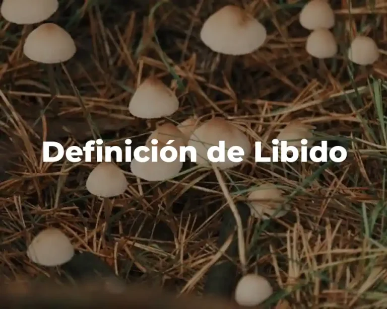 Definición de Libido