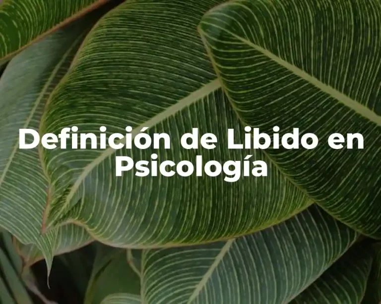 Definición de Libido en Psicología