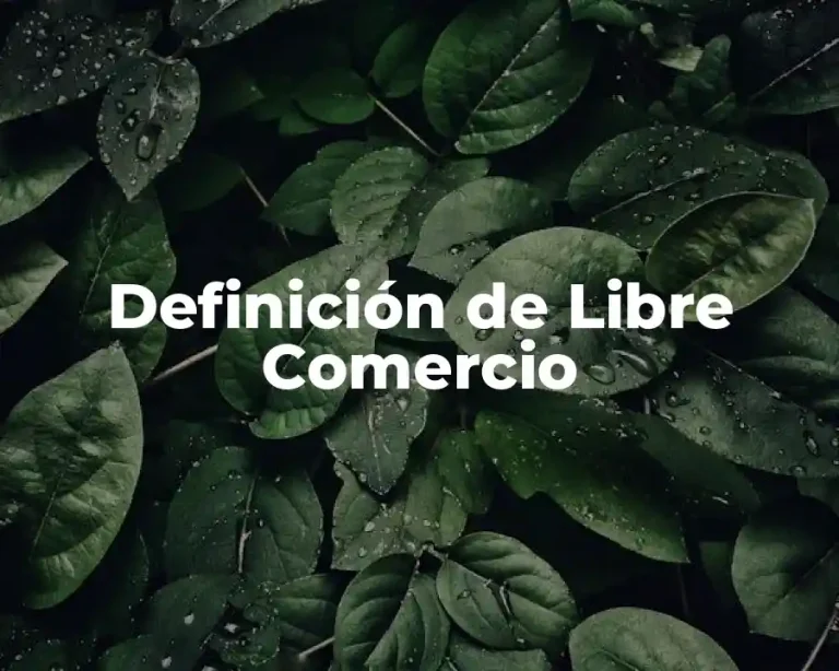 Definición de Libre Comercio