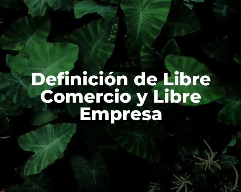 Definición de Libre Comercio y Libre Empresa