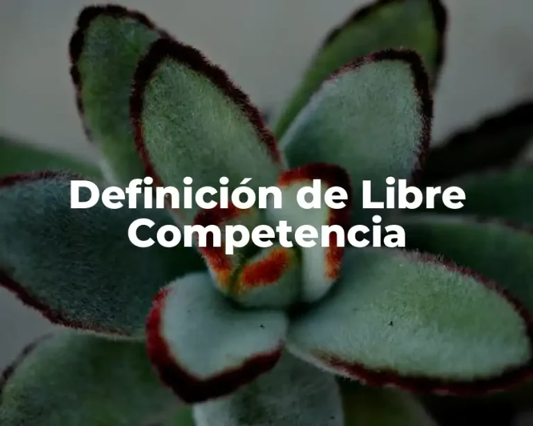 Definición de Libre Competencia