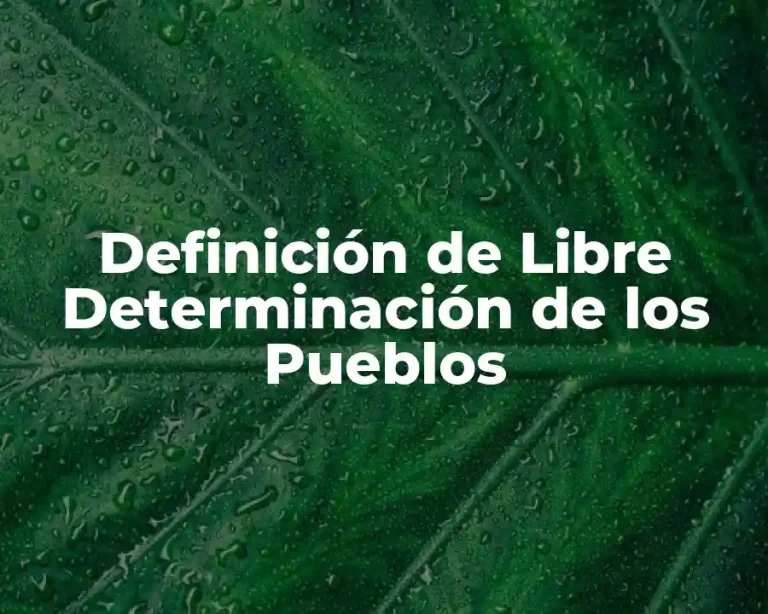 Definición de Libre Determinación de los Pueblos