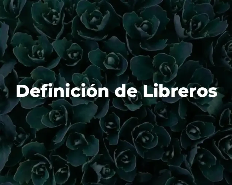 Definición de Libreros
