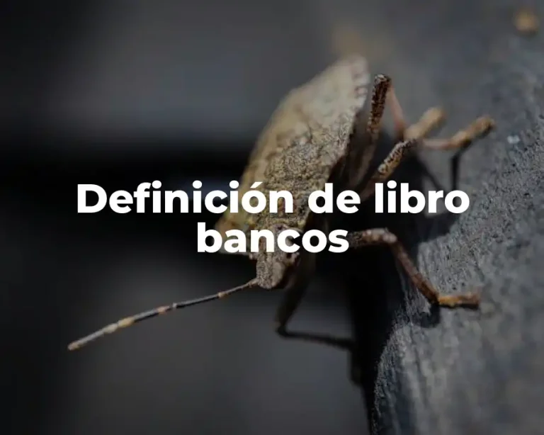Definición de libro bancos