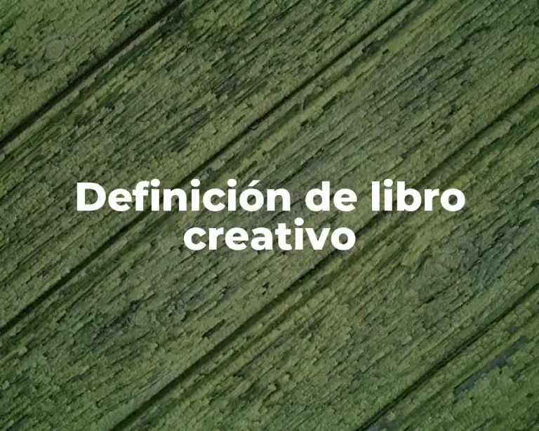 Definición de libro creativo